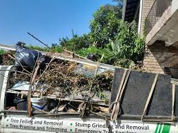 Best Dumpster Rental Services  in Red Cloud, NE