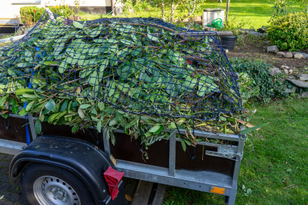 Best Same-Day Junk Removal Services  in Red Cloud, NE